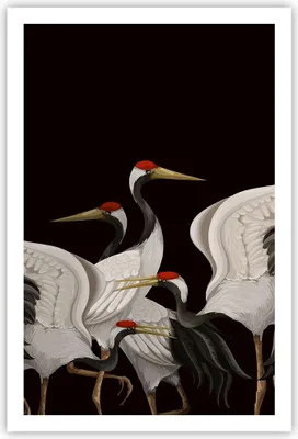 Produktbild von Poster - Poster ohne Rahmen - Kraniche Vögel Grafiken - 61x91,5 cm - Wand Bild - Wanddeko - Wandbilder - Kunstposter - Wandposter - Bilder - Kunstdruck - Wanddekoration - Wandbild - P2XPA61x91-4748