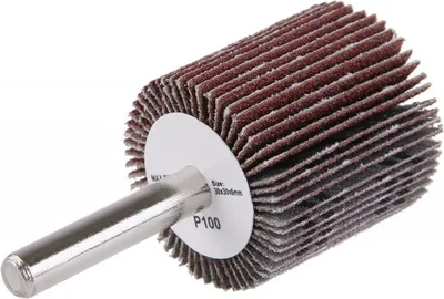 Image de Levior Disque abrasif à lamelles 30x30x6mm P100 tige