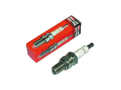 Obrázok produktu pre Zapaľovacie Sviečky Champion Rg6Yca/T10