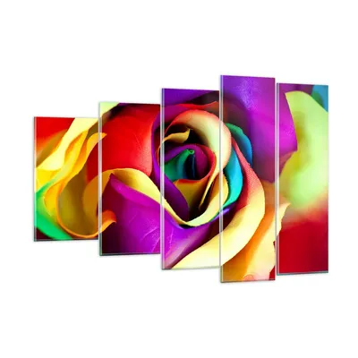 Produktbild von Bilder auf glas - Blume Farbe Rose - 150x100cm - Glasbilder - Wandbilder - Kunstdruck - zum Aufhängen bereit - Wanddekoration aus Glas - Glas Bilder - Wandbild auf Glas - 5 Teile - GEG150x100-3623