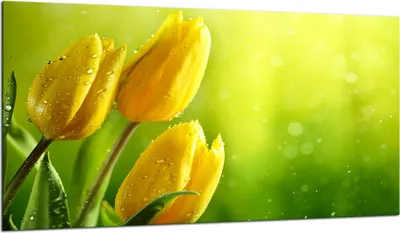 Produktbild von Herdabdeckplatte Glaskeramikkochfeld-Abdeckung Spritzschutz Glas 90x52 Blumen