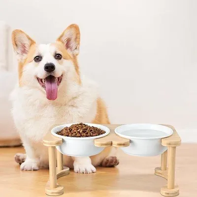 Image de Station d'alimentation pour petits chiens et chats, pratique