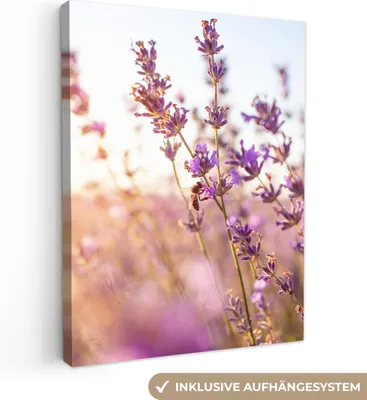 Produktbild von MuchoWow® - Leinwandbilder - Lavendel - Nahaufnahme - Sonne - Blumen - Lila, Wandbild, Wanddeko Bilder Wohnzimmer, 60x80cm