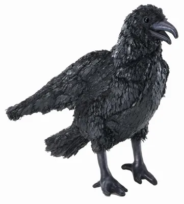 Produktbild von Folkmanis Handpuppe Krähe schwarz 28 cm Plüschkrähe