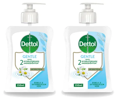 Productafbeelding van 2 x Dettol Handzeep Gentle - Kamille & Katoenbloem - 250 ml - Voordeelverpakking - 2 stuks