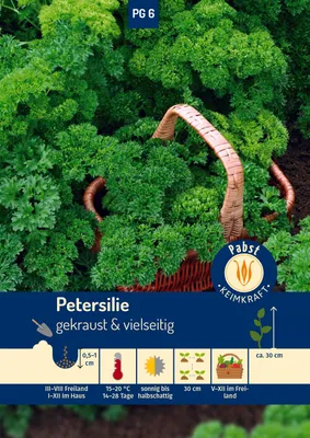 Artikelbild 1 von 'Petersilie Mooskrause' aus der Kategorie Petersiliensamen