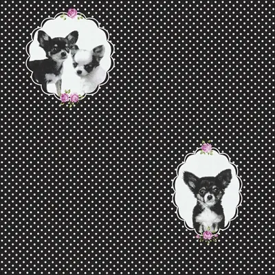 Produktbild von A.S. Création Vliestapete Little Stars Ökotapete schwarz lila 10,05 m x 0,53 m 358512 35851-2