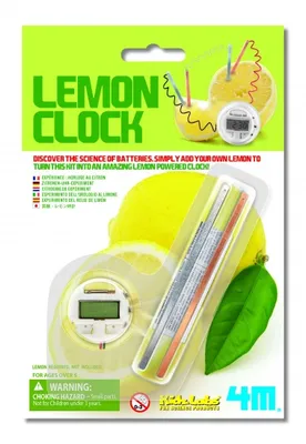 Produktbild von 4m KidzLabs KidzLabs - Kitron clever