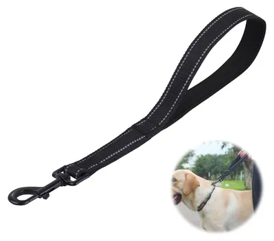 Produktbild von Kurze Hundeleine von 30 cm mit reflektierendem Nylon