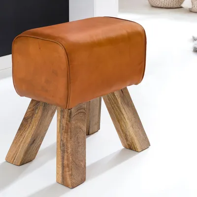 Produktbild von FineBuy Design Turnbock Echtleder Sitzhocker 40 x 30 x 47 cm Turnhocker Hocker Beistellhocker Fußhocker