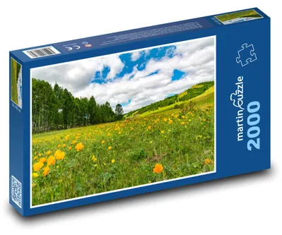 Zdjęcie produktu dla Puzzle 2000 Kwitnąca łąka - martinpuzzle