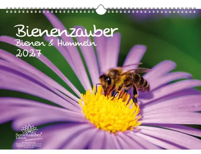 Produktbild von Bienenzauber Bienen und Hummeln DIN A3 Kalender für 2027 - Seelenzauber