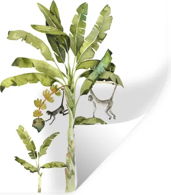 Produktbild von MuchoWow® Wandtattoo Wandsticker Wandaufkleber Dschungel - Palme - Affe 80x80 cm Selbstklebend und Repositionierbar - Wierderverwendbar - Selbstklebend