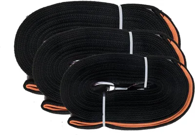 Image de Pawise laisse de dressage pour chiens, longueur : 10 m
