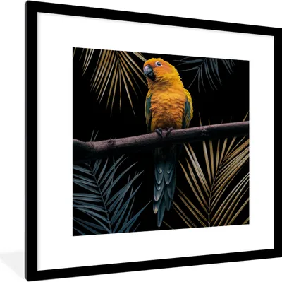 Produktbild von MuchoWow® MuchoWow® Gerahmtes Poster Vogel - Papagei - Zweig - Blätter 40x40 cm - Poster mit zchwarzem Bilderrahmen - Poster - Plakat im Rahmen
