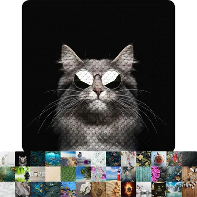Obrázek produktu pro Koupelnová předložka Sanilo Cool Cat 53 x 53 cm