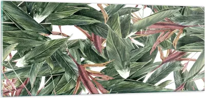 Produktbild von Bilder auf glas - Pflanze Blatt Blume - 100x40cm - Glasbilder - Wandbilder - Kunstdruck - zum Aufhängen bereit - Wanddekoration aus Glas - Glas Bilder - Wandbild auf Glas - Einteilig - GAB100x40-3844