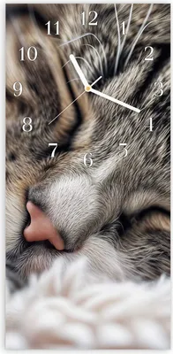 Produktbild von Wanduhr aus Glas mit Motiv Schlafende Katze- 30 x 60 cm - inkl. Aufhängesystem