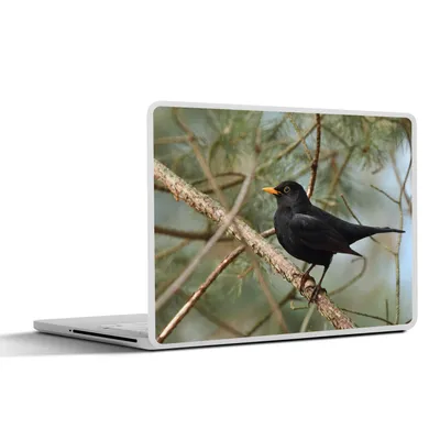 Produktbild von MuchoWow® Laptop Aufkleber Sticker Cover Vogel - Amsel - Zweige - Tiere 31x22.5 cm - Laptop-Deko