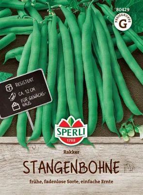 Produktbild von SPERLI Stangenbohnensamen Rakker Phaseolus vulgaris 10-15 Stangen