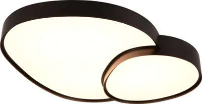 Obrázek produktu pro TRIO-Leuchten RISE stropní svítidlo WHT 77x11,50x63,50 cm černá Stropní svítidlo