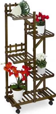 A wooden plant stand with several potted plants on it, displayed on a white background.