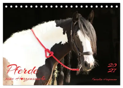 Produktbild von Pferde - eine Herzenssache (Tischkalender 2027 DIN A5 quer), CALVENDO Monatskalender