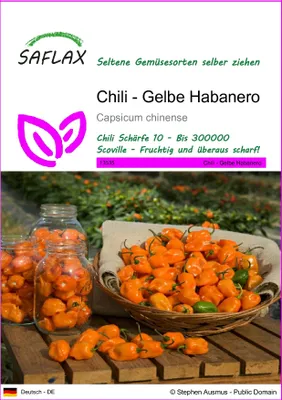 Produktbild von SAFLAX - Chili - Gelbe Habanero - 10 Samen - Capsicum chinense