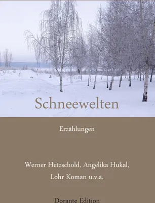 Produktbild von Schneewelten