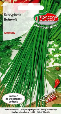 Produktbild von Samen von böhmischem Schnittlauch 1g - Torseed