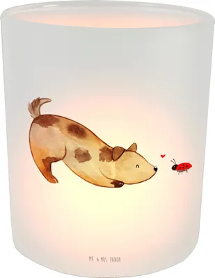 Produktbild von Mr. & Mrs. Panda Windlicht aus Glas Hund Marienkäfer - Transparent - Geschenk, Sprüche, Neugierig, Hunde, Mischlinghund, Teelichthalter, Verliebt, Kerzenhalter