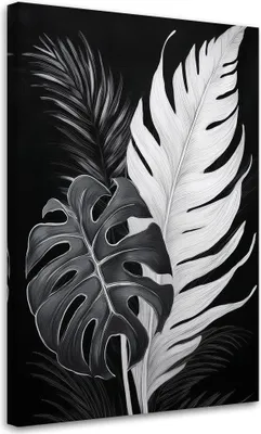 Produktbild von Leinwandbild Schwarz-Weiß Monstera-Blätter 40x60 Feeby Schwarz-Weiß bild für die wand bereit zum aufhängen