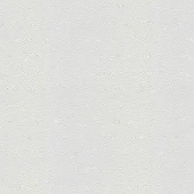 Produktbild von A.S. Création Vliestapete Meistervlies Pro Protect 2, weiss, überstreichbar, 25,00 m x 1,06 m, 575210, 5752-10