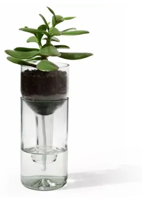 Produktbild von Selbstbewässernder Blumentopf Transparent
