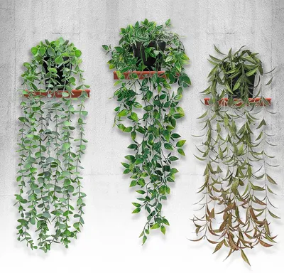 Zdjęcie produktu dla Sztuczne rośliny wiszące, 3 szt., eukaliptus, 56 cm, z doniczkami do dekoracji