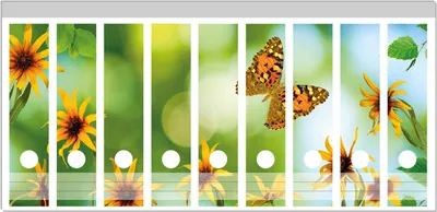 Produktbild von Wallario Ordnerrücken Sticker, selbstklebend für breite Ordner, 9 Stück, Motiv Blumen mit Schmetterling