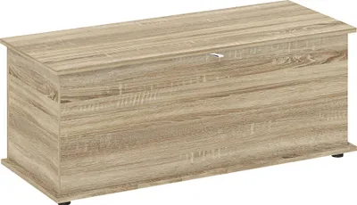 Image de Coffre de rangement, banc de rangement avec couvercle rabattable et charniššres de sšŠcuritšŠ, 100 x 40 x 40 cm, naturel