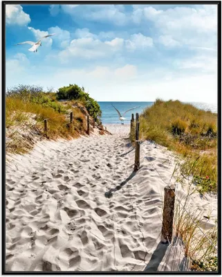 Produktbild von Wallario Wandbild Möwen auf dem Weg zum Strand, Größe: 40,30 x 50,30 cm, Poster mit schwarzem Aluminiumrahmen