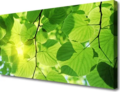 Produktbild von Tulup Leinwand-Bilder 100x50 Wandbild Canvas Kunstdruck Blätter Pflanzen