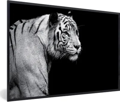 Produktbild von MuchoWow® Gerahmtes Poster Tiger - Wilde Tiere - Licht 90x60 cm - Poster mit Schwarzem Bilderrahmen Wandposter Rahmen Foto Bilder - Fotorahmen - Foto-Plakat
