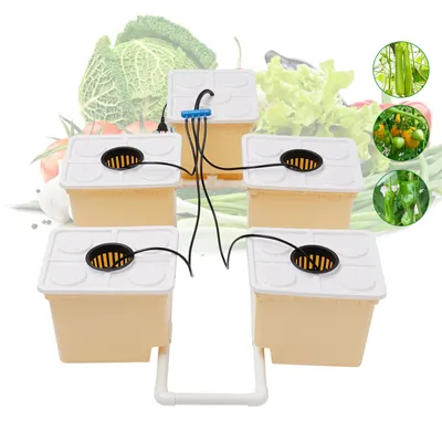 Obrázek produktu pro Hydroponický pěstební systém Cups 11L Hydroponický pěstební systém Hydroponics Home Grow Kits for Flowers & Herbs Indoor Garden