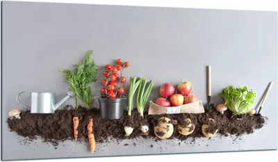 Produktbild von Herdabdeckplatte Glaskeramikkochfeld-Abdeckung Spritzschutz Glas 90x52 Gemüse