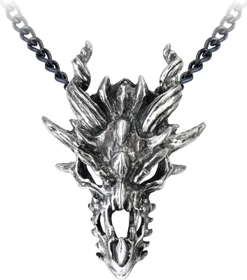 Produktbild von Alchemy Gothic Halskette Uni Dragon Skull silberfarben Standard