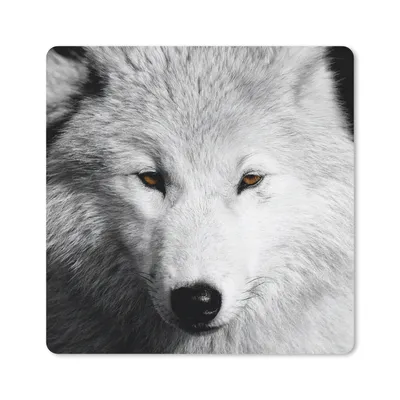 Produktbild von MuchoWow® Mauspad Mousepad In der Nähe Ansicht Wolf in Schwarz und Weiß 20x20 cm - Mousepads - Maus Mat - Pad - Mausunterlage - Desk Mat - Bureauartikeln