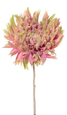Produktbild von Künstliche Chrysantheme 56cm. Dekoblume Kunstblume. Grün-Rosa
