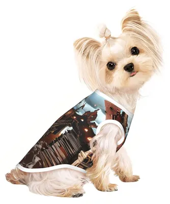 Immagine prodotto di Maglioni unici per cani di piccola e media taglia