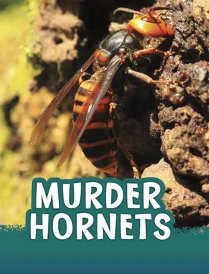 Produktbild von Murder Hornets