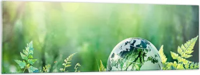 Produktbild von Bilder auf glas - natur natur - 160x50cm - Glasbilder - Wandbilder - Bilder - Kunstdruck - zum Aufhängen bereit - Wanddekoration aus Glas - Glas Bilder - Wandbild auf Glas - Einteilig - GAB160x50-4041