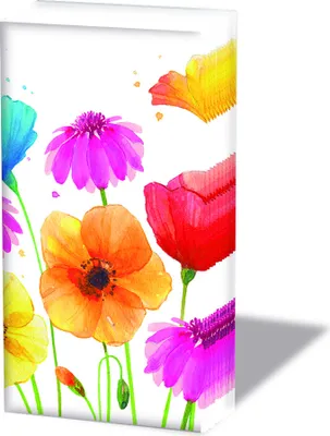 Produktbild von Taschentücher  21,5 x 22 cm – 4-lagig – á 10 Stück pro Packung –