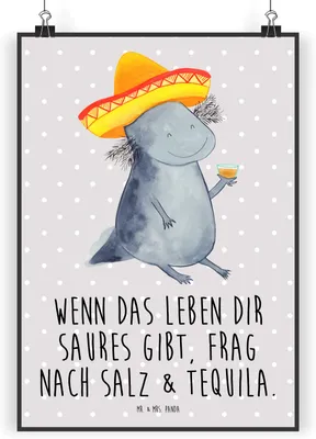 Produktbild von Mr. & Mrs. Panda Bild Axolotl Tequila DIN A3 - Grau Pastell - Geschenk, Kunstdruck, wanddeko, Spruch, Mexico, Zitrone, drucke, Party, trinken, Plakat, Wandbild, Urlaub